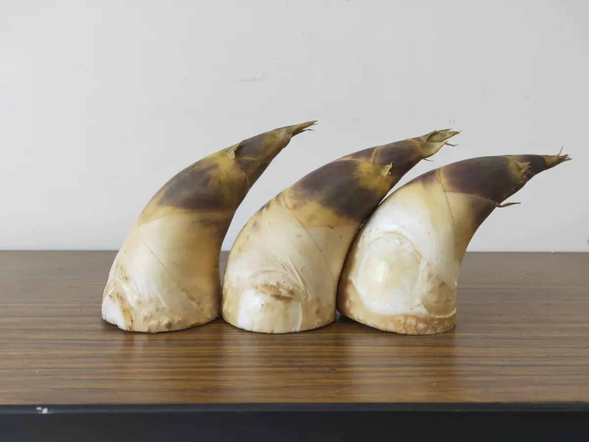 ▲夏天吃綠竹筍正是時候，內行婆媽都知道，煮綠竹筍時加白米能提升鮮味。然而餐廳級的做法除了加白米還會加辣椒，鮮甜味全逼出來了，（圖／農委會桃園區農業改良場提供）