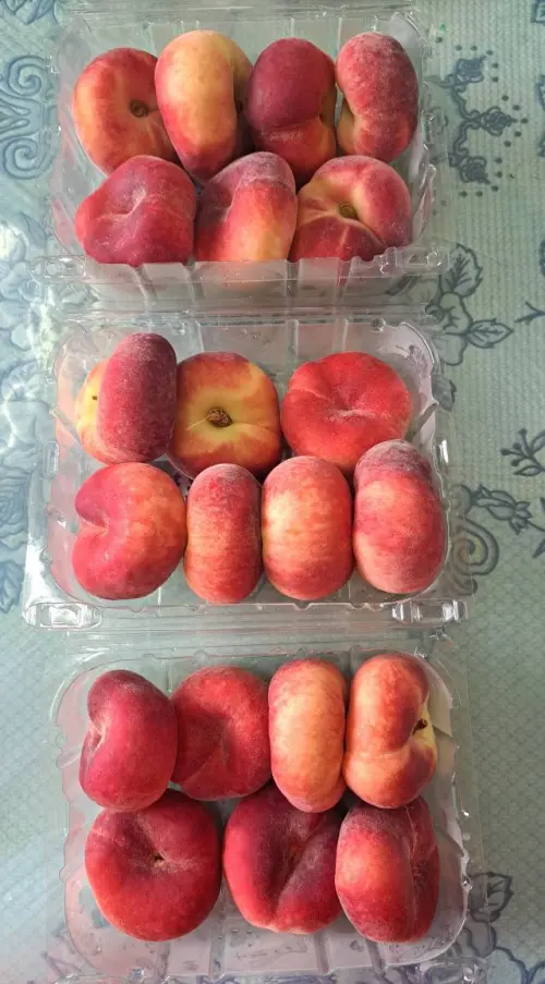 ▲網友一口氣買了3盒蟠桃回家，一盒119元，有7顆。（圖／我愛全聯-好物老實說臉書）