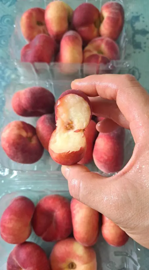 ▲喜歡軟糯口感的人，可以把蟠桃在室溫下約放兩天，蟠桃放軟會更甜。（圖／我愛全聯-好物老實說臉書）