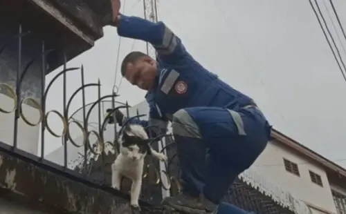 貓 ▲公貓在志工營救下,幸運獲救。(圖/翻攝自KhaoSod)