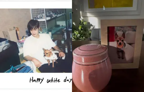▲李敏鎬愛犬離世　曬與Choco合照哀痛悼念：希望這16年你是幸福的。（圖／李敏鎬IG）