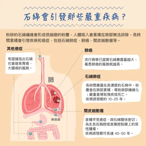 ▲石綿對人體造成的影響與危害。（圖／環境部化學署）