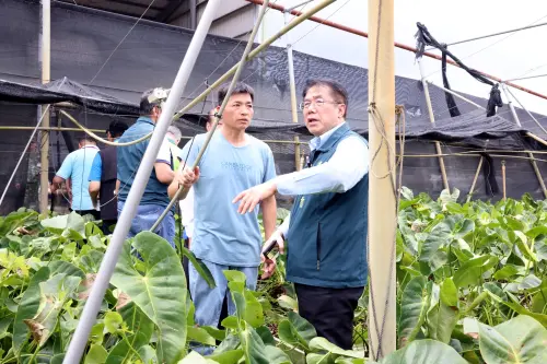 ▲ 黃偉哲隨後前往下營區,了解火鶴花園區受損情形。(圖/南市府提供) ▲ 黃偉哲隨後前往下營區,了解火鶴花園區受損情形。(圖/南市府提供)