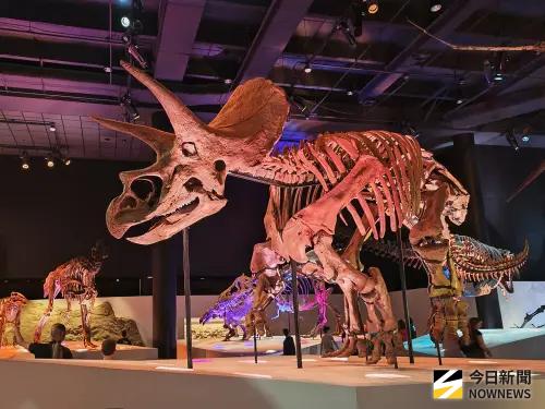 休士頓旅遊攻略！別只會去太空中心　伴手禮清單必收藏
