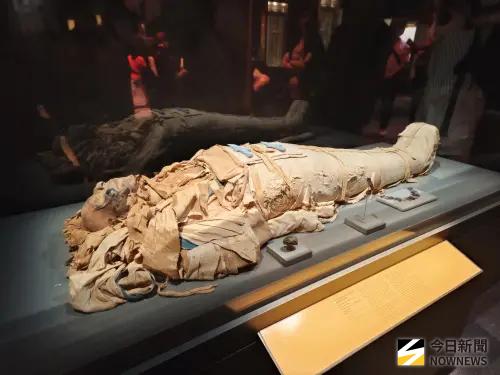 ▲休士頓有非常好的博物館，像是自然科學博物館，裡面有展示許多恐龍化石、埃及木乃伊。（圖／記者許若茵攝）