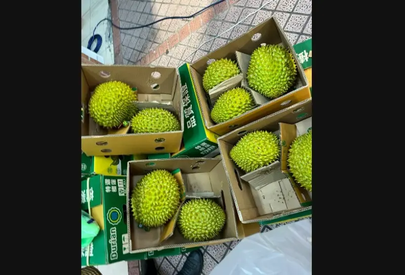 ▲北市衛生局抽驗生鮮蔬果，其中有榴槤被檢出重金屬鎘。（圖／北市衛生局提供）