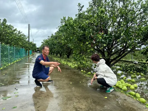 陳亭妃最後呼籲,這次風災重挫台南農漁業,政策必須從寬調整,才能真正協助農漁民重建。(圖/陳亭妃提供) ▲陳亭妃最後呼籲,這次風災重挫台南農漁業,政策必須從寬調整,才能真正協助農漁民重建。(圖/陳亭妃提供)