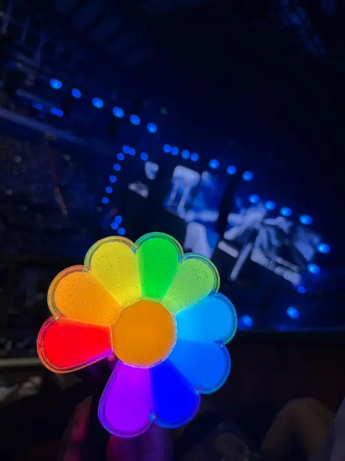 ▲陳美鳳曬出自己的GD手燈。（圖／翻攝自陳美鳳臉書）