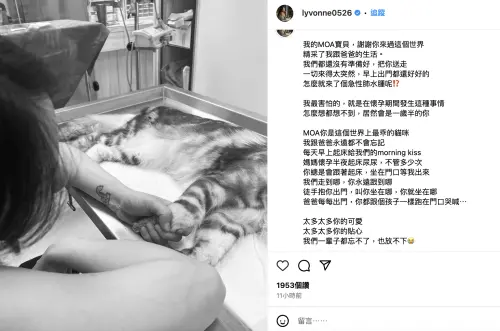 ▲劉雨柔無法接受愛貓MOA離開,難過到發文哀悼。(圖/摘自劉雨柔IG) ▲劉雨柔無法接受愛貓MOA離開,難過到發文哀悼。(圖/摘自劉雨柔IG)