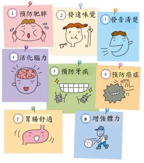 ▲適度的咀嚼具有多種功效。（圖／許玲欣醫師提供）