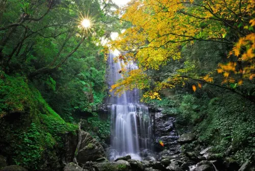 ▲雲森瀑布停車後走路約40至50分鐘可到，沿途少有陡坡，挑戰難度低。（圖／新北市觀光旅遊網）