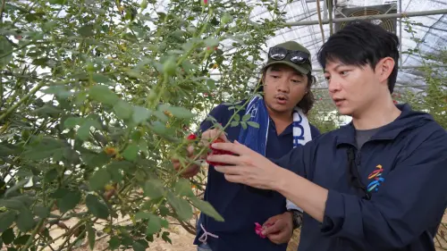 ▲林楷軒日前走訪杉恆壹樹，創辦人王宥勝從玫瑰的種植到成品的展售，介紹玫瑰的專業稼接技術與栽種規劃。（圖／高市府青年局提供）