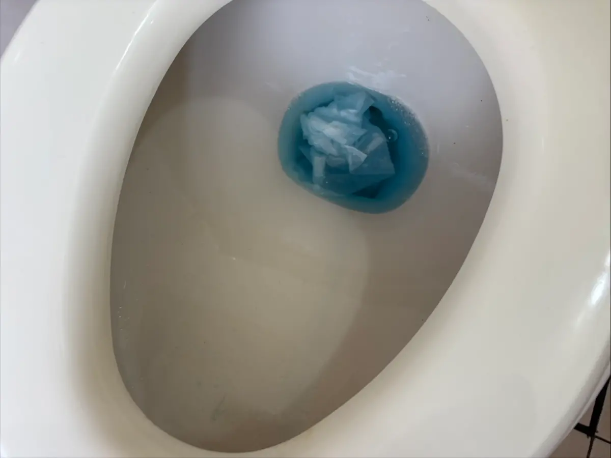 ▲衛生紙是重要的日常生活用品，尤其廁所一定會擺放，但你是否困惑過，「衛生紙可不可以丟進馬桶」？（圖/記者張嘉哲攝）