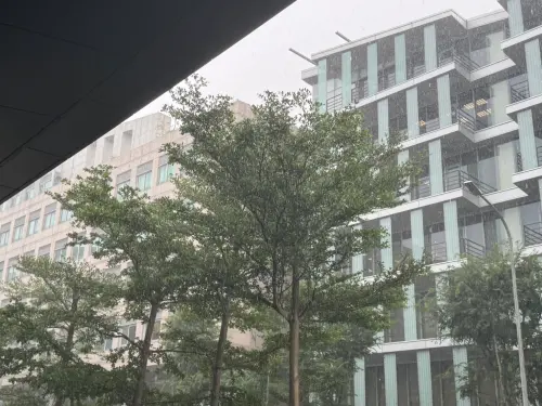 ▲台北天空降下暴雨，雷聲不斷。（圖／記者潘毅攝）