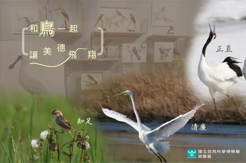 ▲《和鳥一起 讓美德飛翔》以古代詩詞文人筆下的鳥類形象為出發點，介紹10種鳥類所象徵的10種品德精神。（圖／科博館提供）(2388.99 kb)