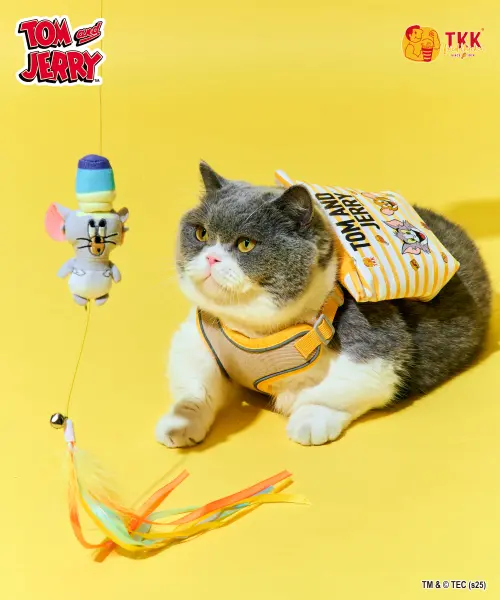 頂呱呱「湯姆貓與傑利鼠」巨型雞腿玩偶、寵物周邊!起司炸雞開吃 ▲「逗貓玩偶彈力繩」讓貓捉老鼠真實上演,奴才們還不快收。(圖/頂呱呱提供)
