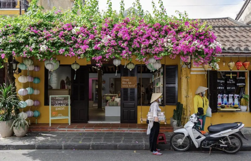 ▲越南近年來積極發展觀光業，有望超越泰國，成為東南亞最受歡迎旅遊目的地。（圖／取自Pixabay）