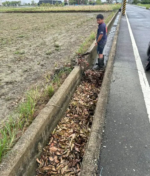 西港國中的同學拿著圓鍬清理水溝,避免未來下雨水排不掉。(圖/翻攝我是西港人) ▲西港國中的同學拿著圓鍬清理水溝,避免未來下雨水排不掉。(圖/翻攝我是西港人)