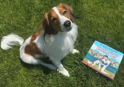 ▲大谷翔平去年7在IG上宣布將推出兒童繪本，故事以愛犬彈額頭作為主角，MLB官方也在X上置頂該貼文，幫大谷翔平宣傳。（圖／MLB X）