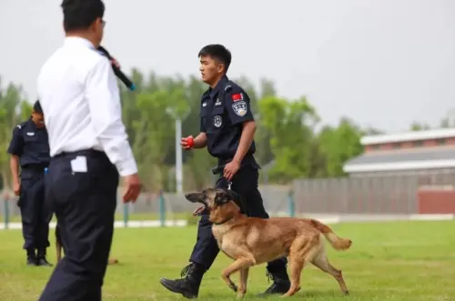上大學就發小狗！中國警校警犬專業「人憑狗貴」網讚太可愛
