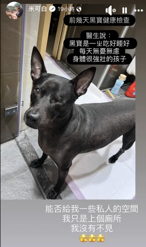 ▲米可白（圖／翻攝自米可白臉書）