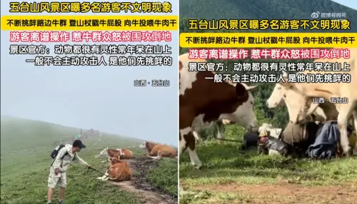 中國山西五台山有遊客遭牛群圍攻,景區表示,有許多遊客對牛有挑釁、不文明行為。右為網傳影片、左為遊客遭圍攻。(圖/翻攝自微博) ▲中國山西五台山有遊客遭牛群圍攻,景區表示,有許多遊客對牛有挑釁、不文明行為。右為網傳影片、左為遊客遭圍攻。(圖/翻攝自微博)