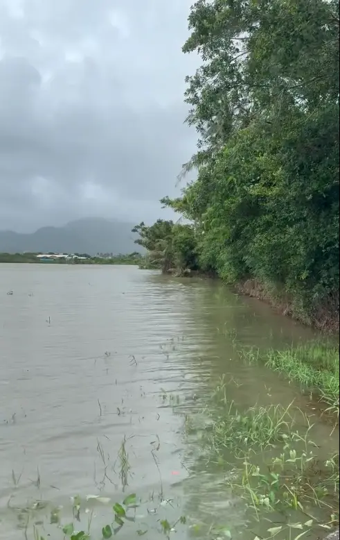 ▲(圖/翻攝自Threads) ▲(圖/翻攝自Threads)