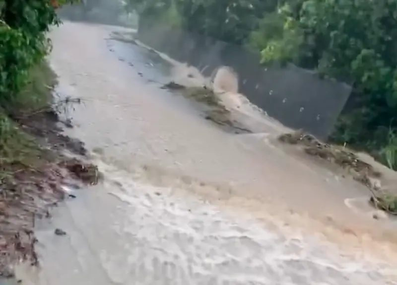 ▲薇帕颱風目前已造成東部、南部災情，尤其台東、屏東強降雨導致路面變滑水道、稻田變游泳池，有網友貼出現場畫面，可見薇帕颱風對台灣造成的威脅仍大。（圖／翻攝自Threads）