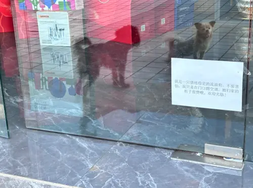 ▲（圖／取自小紅書）