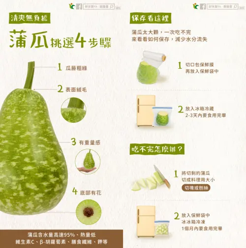 ▲蒲瓜的挑選要注重外觀和重量，保存則建議切塊或刨絲後冷凍。（圖／農糧署提供）