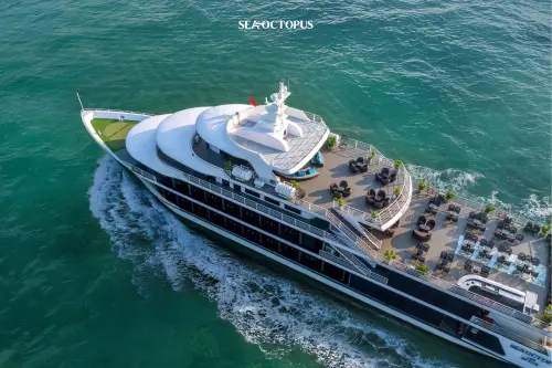 (圖/Sea Octopus Cruise臉書) ▲(圖/Sea Octopus Cruise臉書)