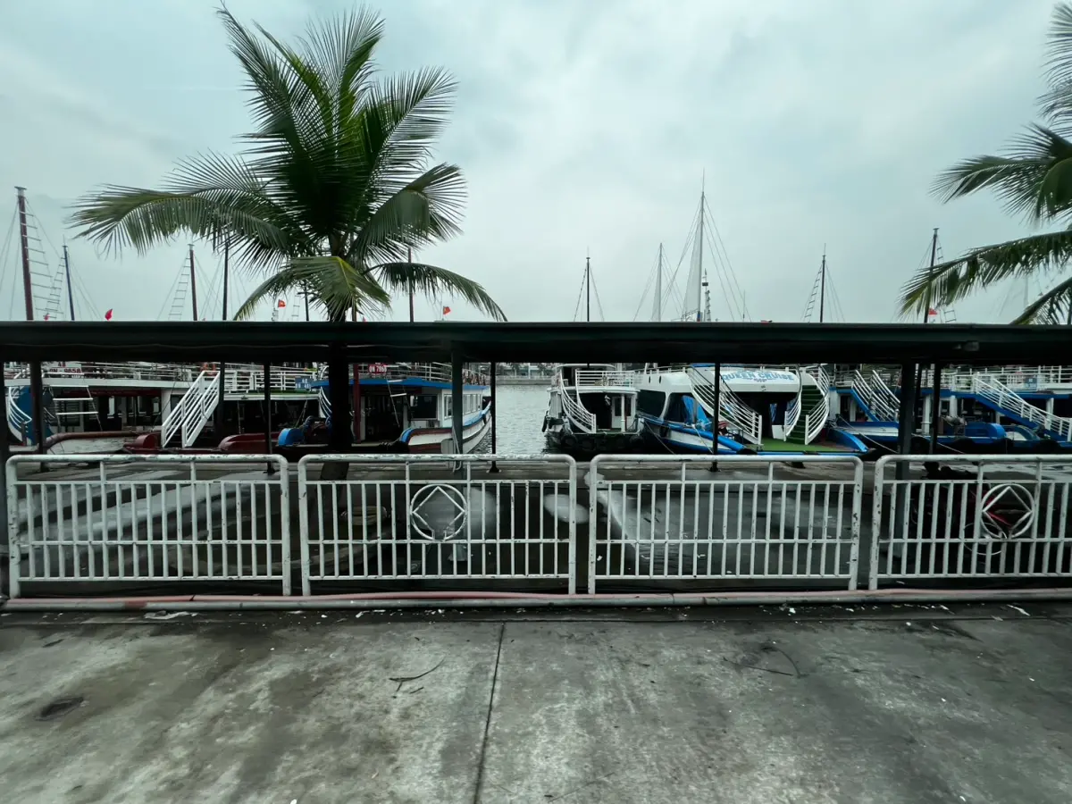 ▲越南下龍灣港口船隻因應薇帕颱風即將來臨，政府下令全部船隻即刻返港，許多遊客行程都被取消。（圖/記者張勵德攝）