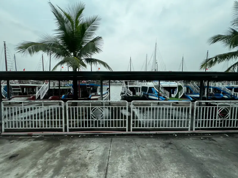 ▲越南下龍灣港口船隻因應薇帕颱風即將來臨，政府下令全部船隻即刻返港，許多遊客行程都被取消。（圖/記者張勵德攝）