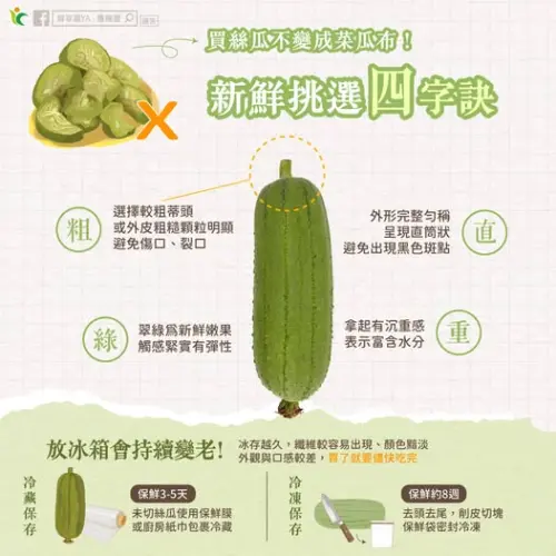 ▲農糧署公布絲瓜挑選秘訣與保鮮方式。（圖／農糧署）