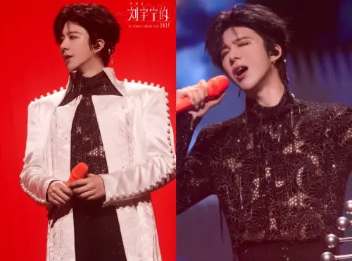 ▲劉宇寧演唱會脫了！鏤空裝羞喊「早知練肌肉」昔打工仔翻身成巨星（圖／劉宇寧工作室微博）