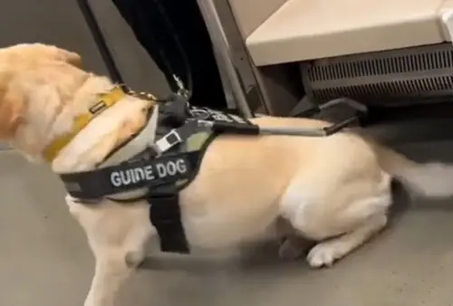 ▲（圖／翻攝微博）