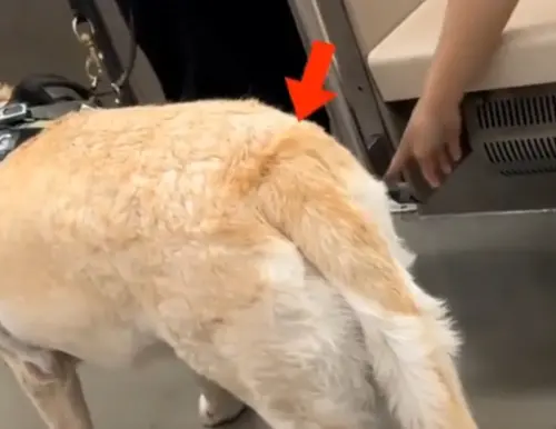 ▲（圖／翻攝微博）