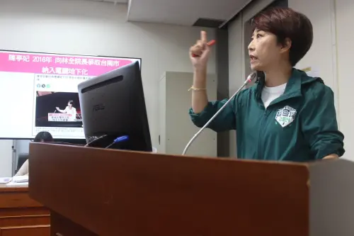 電線桿倒警惕災害風險　陳亭妃籲全面加速電纜地下化
