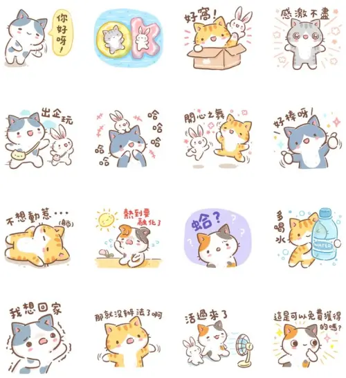 ▲LINE免費貼圖「LINE購物 × 秘密貓」。(圖/取自LINE) ▲LINE免費貼圖「LINE購物 × 秘密貓」。(圖/取自LINE)