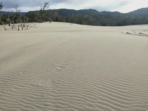 ▲九棚大沙漠綿延數公里的沙丘，景色壯觀，是台灣最大的沙丘地形。（圖／Google評價）