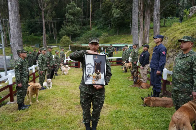 ▲經過一週的搶救之後，哥國陸軍仍沉痛宣布山森離世，同時為回到汪星的英雄舉辦了英雄式的葬禮。（圖／X@Ingenieros_EJC）
