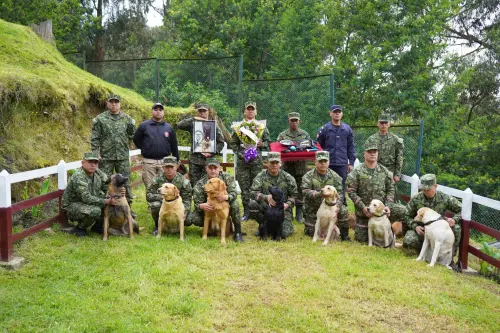 ▲偵爆隊的狗狗夥伴也都到場,送夥伴山森最後一程。(圖/X@Ingenieros_EJC) ▲偵爆隊的狗狗夥伴也都到場,送夥伴山森最後一程。(圖/X@Ingenieros_EJC)