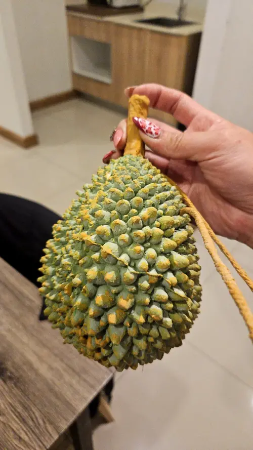 ▲網友把泰國買的榴槤包塞行李箱,沒想到過海關時被攔下。(圖/一個他媽的社團臉書) ▲網友把泰國買的榴槤包塞行李箱,沒想到過海關時被攔下。(圖/一個他媽的社團臉書)