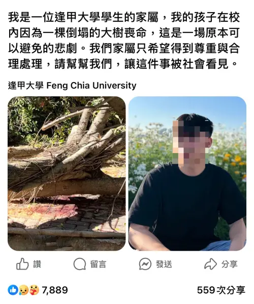 逢甲榕樹倒塌壓死23歲生　母控校方定調意外　質疑人為疏失釀禍
