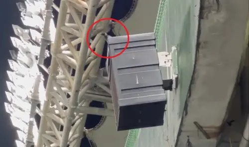 ▲魔鷹昨戰致詞時，有球迷拍到一隻小鳥降落在一壘側音響上，聽完全程後才離開，球迷認為這是Elizabeth太太的化身，專程飛來跟魔鷹道別。（圖／擷取自Threads）