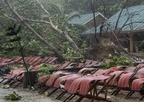 普吉島強風吹倒大樹！釀中國遊客死亡　薇帕颱風外圍環流影響甚鉅
