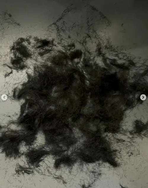 ▲車銀優大量落髮照曝光。（圖／車銀優IG）