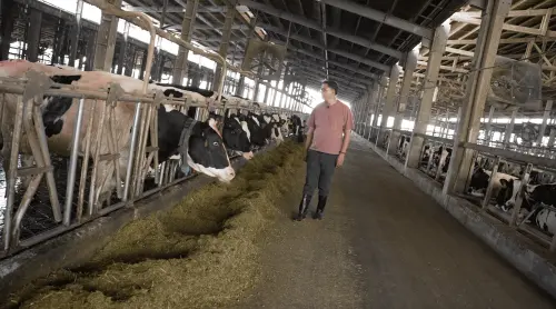 ▲反晶鼎焚化爐自救會會長黃常禎，說明設置晶鼎焚化爐排出空污，恐影響牧場乳牛的生長環摬。（圖／記者王郁勳攝）