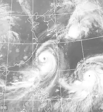 ▲藤原效應是指兩個颱風或熱帶氣旋，在距離約1千公里之內所產生的影響，它們將相互繞著相連的軸線做環狀反時鐘方向旋轉。（示意圖／中央氣象署）