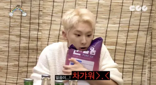 許多粉絲認為HOSHI台下反差的樣子就像一隻軟綿綿的小倉鼠。(圖/翻攝自차린건 쥐뿔도 없지만 YouTube) ▲許多粉絲認為HOSHI台下反差的樣子就像一隻軟綿綿的小倉鼠。(圖/翻攝自차린건 쥐뿔도 없지만 YouTube)